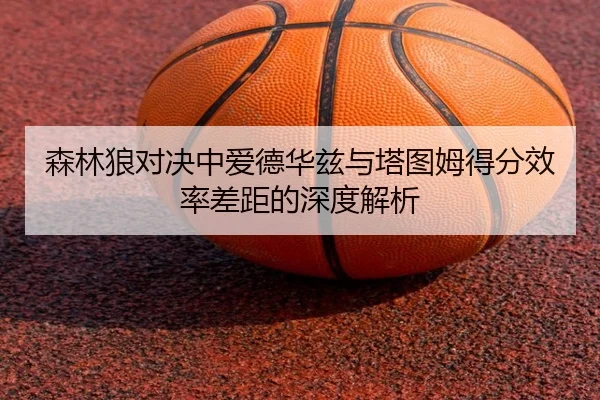森林狼对决中爱德华兹与塔图姆得分效率差距的深度解析